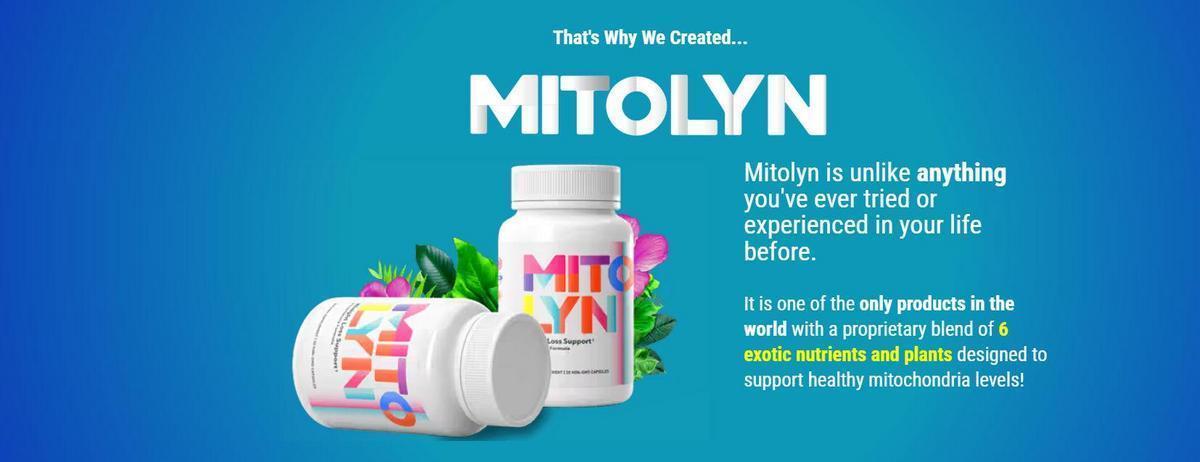 Does Mitolyn Work for Weight Loss?