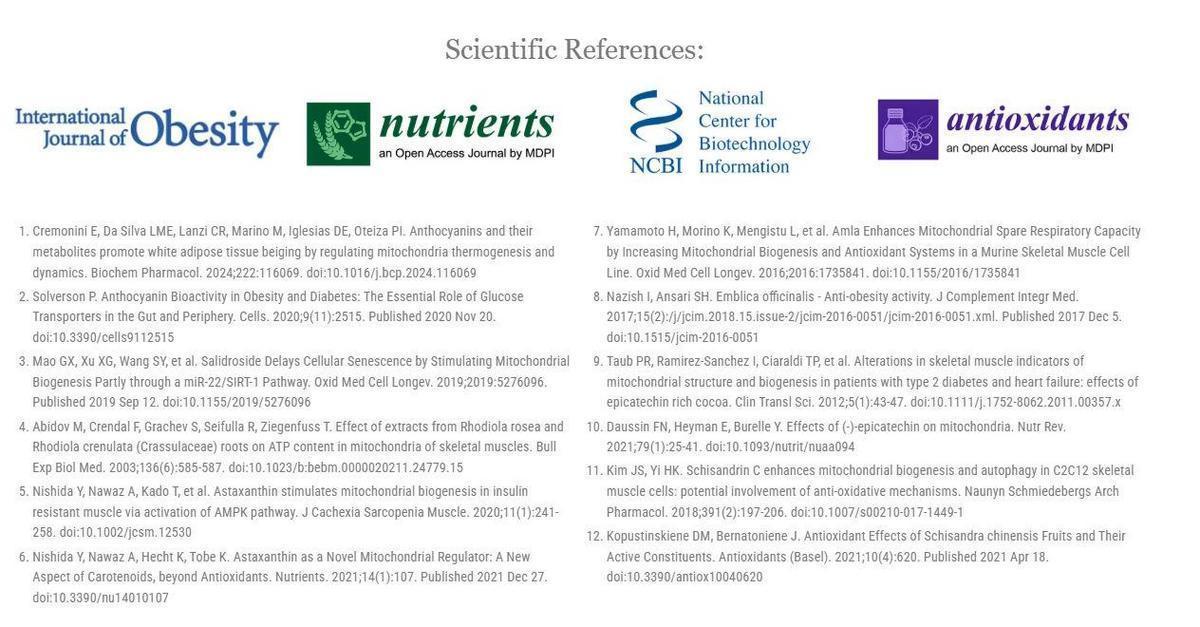 How does Mitolyn work for weight loss?